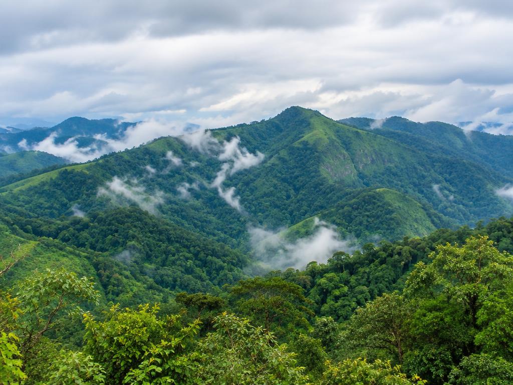 Illustrative scene: forested mountain ridges with mist and low clouds in the valleys; not a documentary photograph of the named destination.
